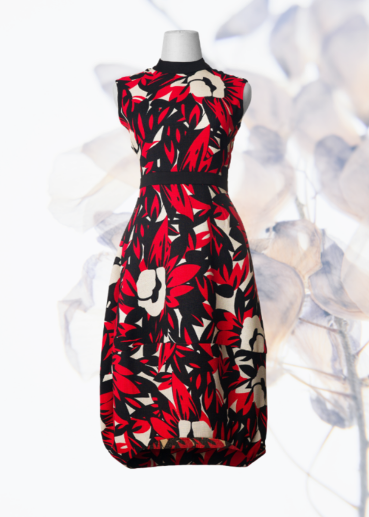 Metrica Bold Dress in Ladybird