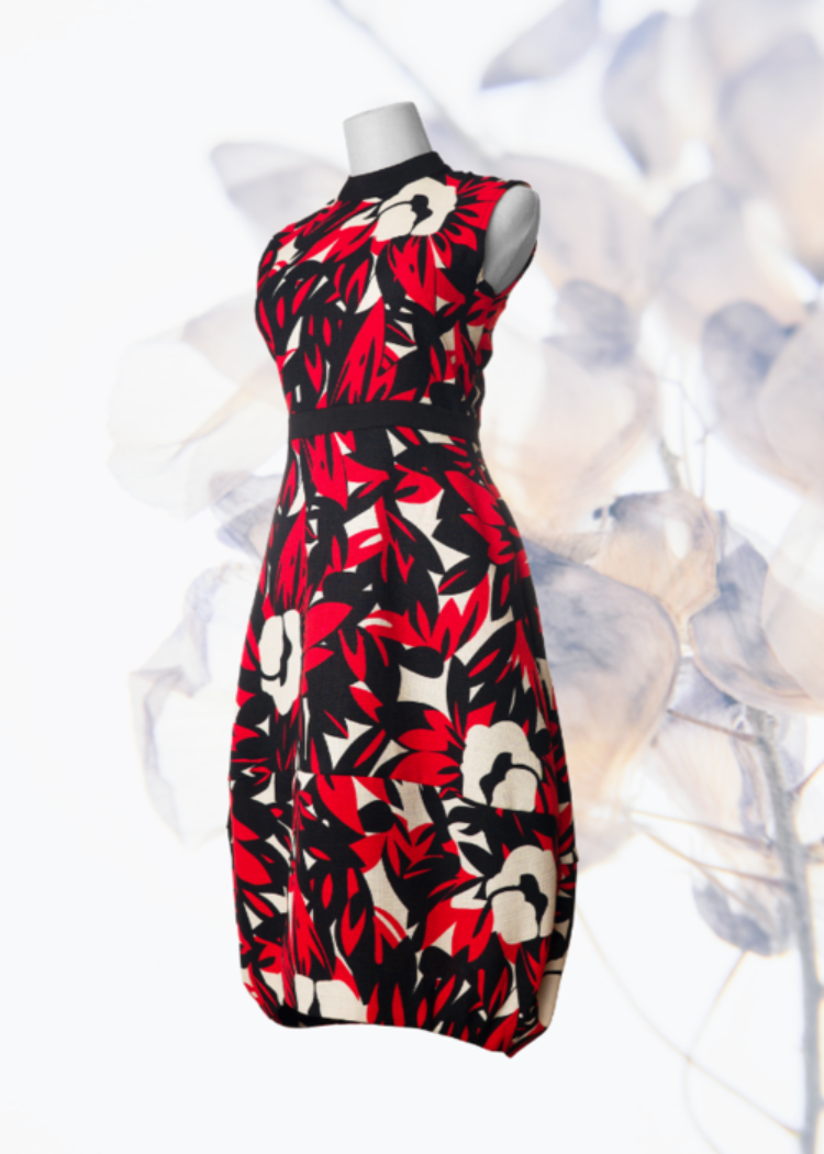 Metrica Bold Dress in Ladybird