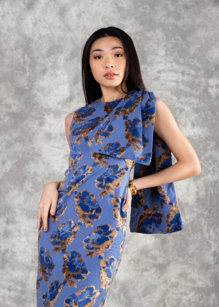 Minerva Dress in Swallow Blue